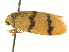  ( - BIOUG05366-C04)  @12 [ ] CreativeCommons - Attribution (2013) CBG Photography Group Centre for Biodiversity Genomics