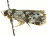  ( - BIOUG05366-C05)  @12 [ ] CreativeCommons - Attribution (2013) CBG Photography Group Centre for Biodiversity Genomics