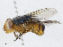  ( - CBG-A04587-A06)  @11 [ ] CreativeCommons - Attribution (2023) CBG Photography Group Centre for Biodiversity Genomics