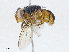 ( - CBG-A04587-C06)  @11 [ ] CreativeCommons - Attribution (2023) CBG Photography Group Centre for Biodiversity Genomics