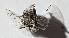  ( - CCDB-30385 F05)  @13 [ ] CreativeCommons - Attribution (2017) Laurence Packer York University