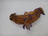  (Tyrannodoris - FARO_21_155)  @11 [ ] CreativeCommons  Attribution Non-Commercial Share-Alike (2021) Kara Layton University of Aberdeen