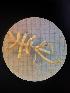  (Nymphon lanare - 17003a_478-4)  @11 [ ] nrr (2195) Unspecified National University of Ireland, Galway