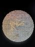  (Nymphon caldarium - ASELVA-32)  @11 [ ] nrr (2021) Unspecified Universitat Autonoma de Barcelona