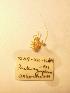  ( - DZMB-HH-1469_01)  @11 [ ] nrr (2262) Unspecified National University of Ireland, Galway