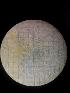  (Nymphon cf. distensum - JR275_1230.2_02)  @11 [ ] nrr (2032) Unspecified National University of Ireland, Galway