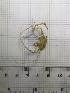  ( - JR275_854.2a)  @11 [ ] nrr (2109) Unspecified National University of Ireland, Galway
