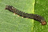  ( - NUMCATCR0090)  @11 [ ] CreativeCommons - Attribution Non-Commercial Share-Alike (2016) C. Redmond Czech Academy of Sciences