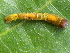  ( - NUMCATCR0365)  @12 [ ] CreativeCommons - Attribution Non-Commercial Share-Alike (2016) C. Redmond Czech Academy of Sciences