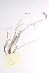  ( - CCDB-23951-H03)  @11 [ ] CreativeCommons - Attribution (2015) CBG Photography Group Centre for Biodiversity Genomics