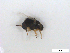  ( - BIOUG01375-C03)  @12 [ ] CreativeCommons - Attribution (2011) CBG Photography Group Centre for Biodiversity Genomics
