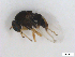  ( - BIOUG01375-C04)  @12 [ ] CreativeCommons - Attribution (2011) CBG Photography Group Centre for Biodiversity Genomics