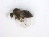  ( - BIOUG01375-G02)  @12 [ ] CreativeCommons - Attribution (2011) CBG Photography Group Centre for Biodiversity Genomics