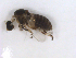  ( - BIOUG01375-G05)  @12 [ ] CreativeCommons - Attribution (2011) CBG Photography Group Centre for Biodiversity Genomics