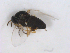  ( - BIOUG01375-G07)  @12 [ ] CreativeCommons - Attribution (2011) CBG Photography Group Centre for Biodiversity Genomics
