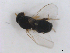  ( - BIOUG01375-G08)  @12 [ ] CreativeCommons - Attribution (2011) CBG Photography Group Centre for Biodiversity Genomics