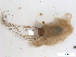  ( - BIOUG01377-E06)  @11 [ ] CreativeCommons - Attribution (2011) CBG Photography Group Centre for Biodiversity Genomics