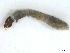  ( - BIOUG01377-H05)  @12 [ ] CreativeCommons - Attribution (2011) CBG Photography Group Centre for Biodiversity Genomics