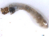  ( - BIOUG01378-A03)  @12 [ ] CreativeCommons - Attribution (2011) CBG Photography Group Centre for Biodiversity Genomics