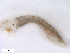  ( - BIOUG01378-D12)  @12 [ ] CreativeCommons - Attribution (2011) CBG Photography Group Centre for Biodiversity Genomics