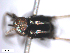  ( - BIOUG01379-A02)  @12 [ ] CreativeCommons - Attribution (2011) CBG Photography Group Centre for Biodiversity Genomics