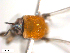  ( - BIOUG01379-B06)  @11 [ ] CreativeCommons - Attribution (2011) CBG Photography Group Centre for Biodiversity Genomics
