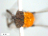  ( - BIOUG01379-B07)  @12 [ ] CreativeCommons - Attribution (2011) CBG Photography Group Centre for Biodiversity Genomics