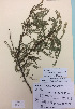  ( - NZANG009)  @11 [ ] Copyright (2016) CEC Gemmill University of Waikato