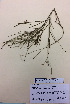  ( - NZANG077)  @11 [ ] Copyright (2016) Chrissen EC Gemmill University of Waikato