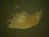  ( - LIM25)  @12 [ ] Copyright (2013) Ian Hogg University of Waikato