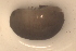  ( - PIL06)  @12 [ ] Copyright (2013) Ian Hogg University of Waikato