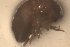  ( - PIL15)  @12 [ ] Copyright (2013) Ian Hogg University of Waikato