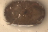  ( - PIL16)  @12 [ ] Copyright (2013) Ian Hogg University of Waikato