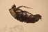  ( - NZGDW0338)  @11 [ ] Copyright (2019) Stacey Meyer University of Waikato