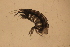  ( - NZGDW0339)  @11 [ ] Copyright (2019) Stacey Meyer University of Waikato