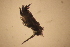  ( - NZGDW0341)  @11 [ ] Copyright (2019) Stacey Meyer University of Waikato