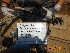  ( - NZG417)  @11 [ ] CreativeCommons  Attribution Share-Alike (by-sa) (2014) National Zoological Gardens of South Africa (NZG) National Zoological Gardens of South Africa (NZG)