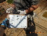  ( - NZG418)  @11 [ ] CreativeCommons  Attribution Share-Alike (by-sa) (2014) National Zoological Gardens of South Africa (NZG) National Zoological Gardens of South Africa (NZG)