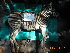  (Equus burchellii - NZG522)  @11 [ ] CreativeCommons  Attribution Share-Alike (by-sa) (2014) National Zoological Gardens of South Africa (NZG) National Zoological Gardens of South Africa (NZG)