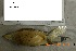  ( - NZG626)  @11 [ ] CreativeCommons - Attribution Share-Alike (2019) Unspecified National Zoological Gardens of South Africa