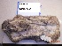  ( - NZG802)  @11 [ ] CreativeCommons - Attribution Share-Alike (2019) Unspecified National Zoological Gardens of South Africa