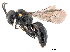  ( - NZAC04036555)  @11 [ ] Unspecified (default): All Rights Reserved  Unspecified Unspecified