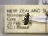  ( - NZAC04259327)  @11 [ ] No Rights Reserved (2022) Unspecified Landcare Research, New Zealand Arthropod Collection