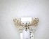  ( - NZAC04201525)  @11 [ ] No Rights Reserved (2020) Unspecified Landcare Research, New Zealand Arthropod Collection