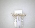  ( - NZAC04201527)  @11 [ ] No Rights Reserved (2020) Unspecified Landcare Research, New Zealand Arthropod Collection