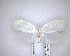  (Nymphostola - NZAC04201561)  @12 [ ] No Rights Reserved (2020) Unspecified Landcare Research, New Zealand Arthropod Collection