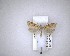  ( - NZAC04201586)  @11 [ ] No Rights Reserved (2020) Unspecified Landcare Research, New Zealand Arthropod Collection