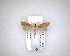  ( - NZAC04201591)  @11 [ ] No Rights Reserved (2020) Unspecified Landcare Research, New Zealand Arthropod Collection