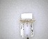  (Chrysorthenches - NZAC04201594)  @11 [ ] No Rights Reserved (2020) Unspecified Landcare Research, New Zealand Arthropod Collection