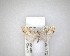  (Glaucocharis chrysochyta - NZAC04201643)  @11 [ ] No Rights Reserved (2020) Unspecified Landcare Research, New Zealand Arthropod Collection